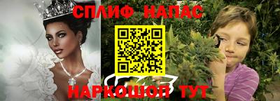 прущие крисы Нальчик