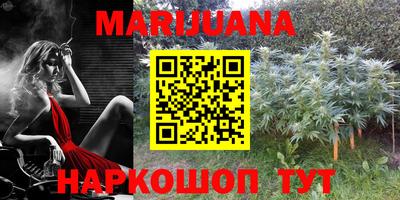 прущие крисы Нальчик