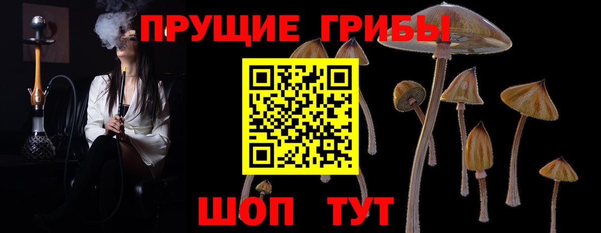 Галлюциногенные грибы мухоморы  Вход с VPN  Сергиев Посад 